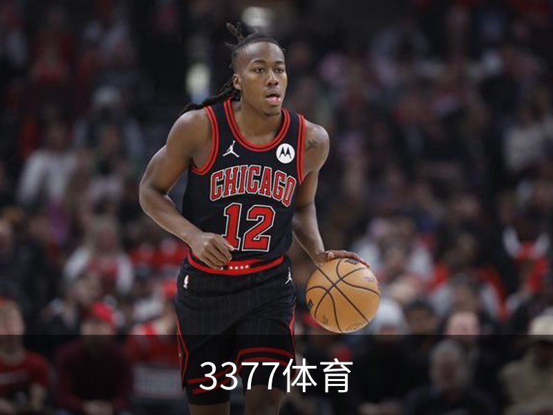 3377体育介绍